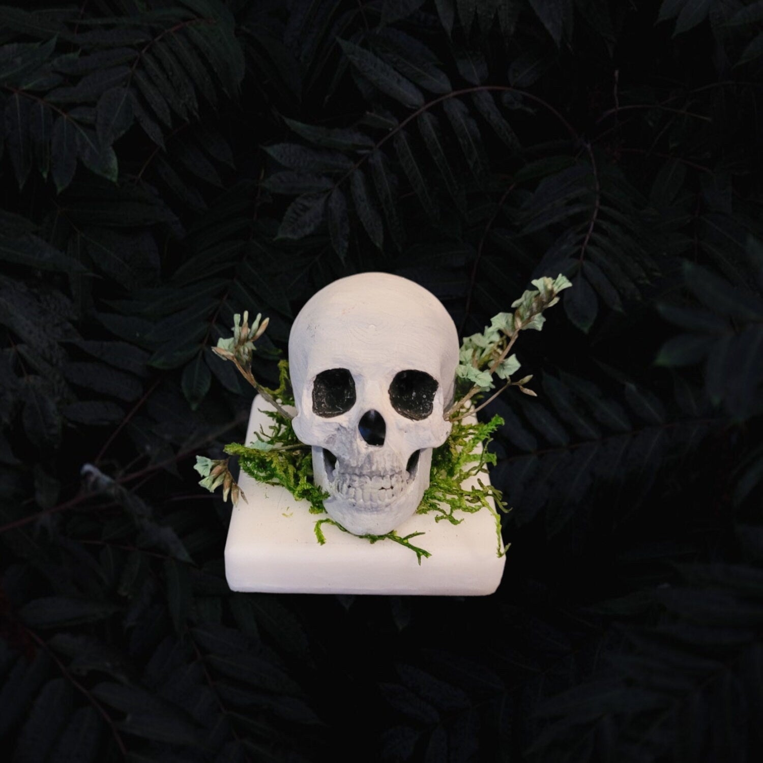 Trinkets and Treasures