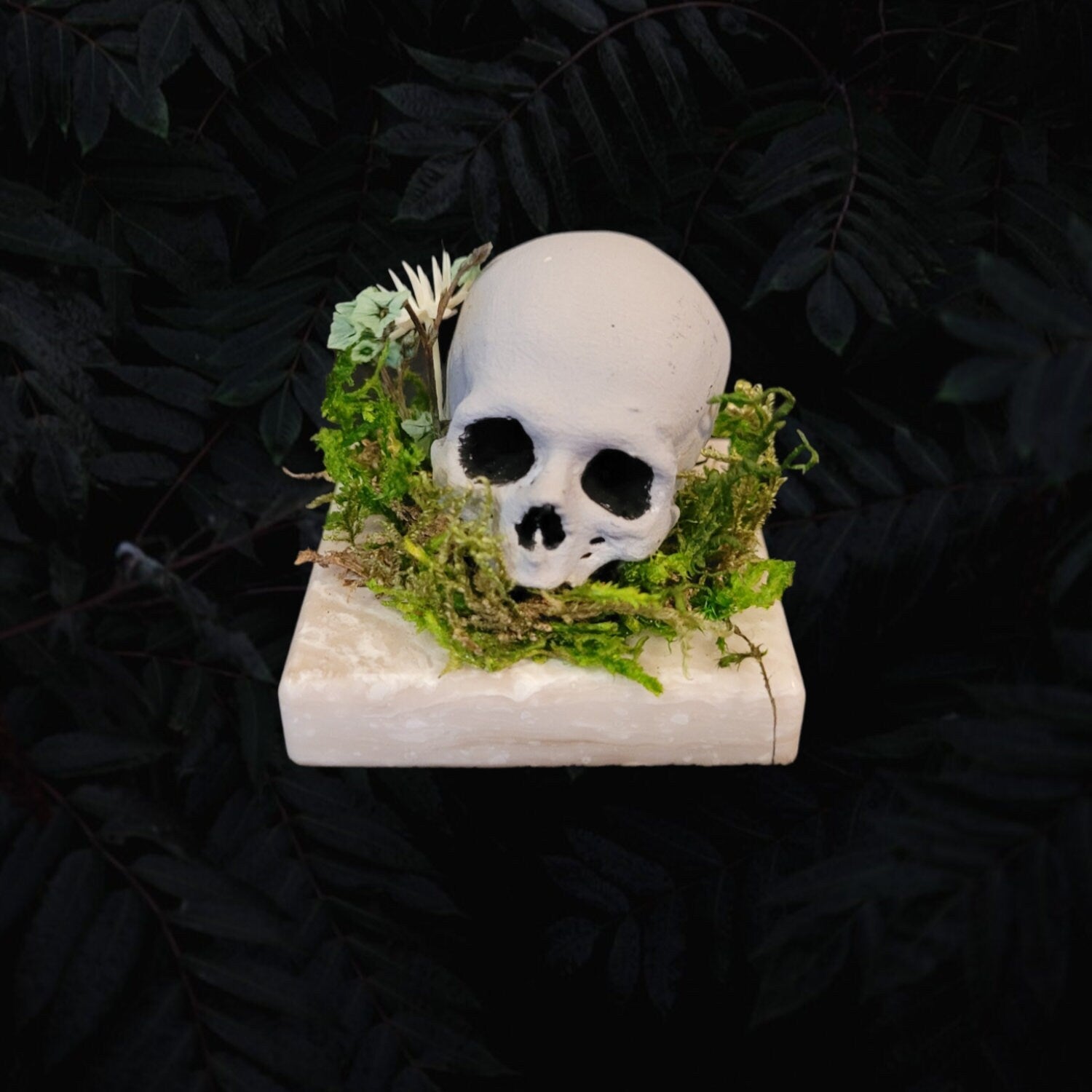 Skull Tile